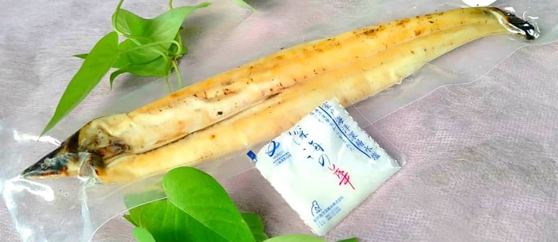 高知県産のウナギの白焼きは美味